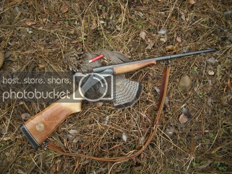 Can you shoot 410 out of 45 long colt barrel liner